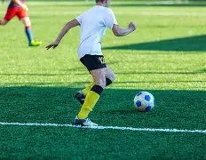 明星团荒野,求生,独我屹立不,lewan乐玩体育,乐玩体育在线,乐玩体育官网,乐玩体育平台入口