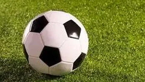 乐玩体育在线 资讯 124255 f21